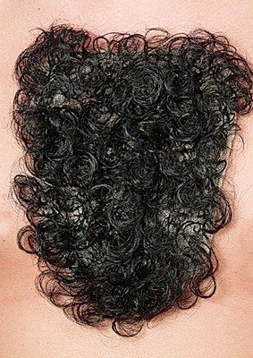 Fluffy chest hair toupee 2