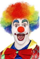 Perruque de clown colorée arc-en-ciel
