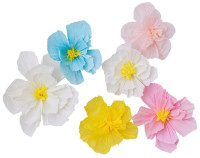 6 coloridas flores de papel de prado de verano
