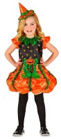 Preview: Little pumpkin witch child costume