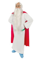 Druid Miraculix kostume