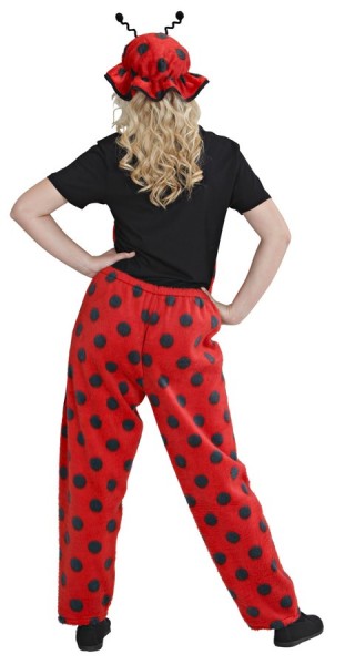 Plush ladybug costume for women and men 4