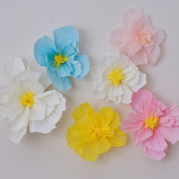 6 coloridas flores de papel de prado de verano