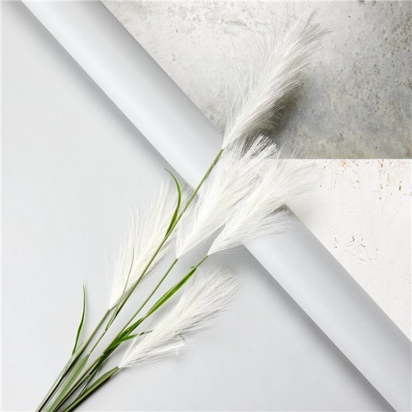 Pampus Trespe flower decoration white 1.45m