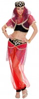 Anteprima: Belly Dancer Zoey Ladies Costume