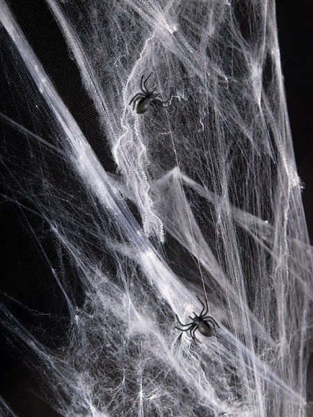 Spinnennetz Halloween Deko mit Spinne 3