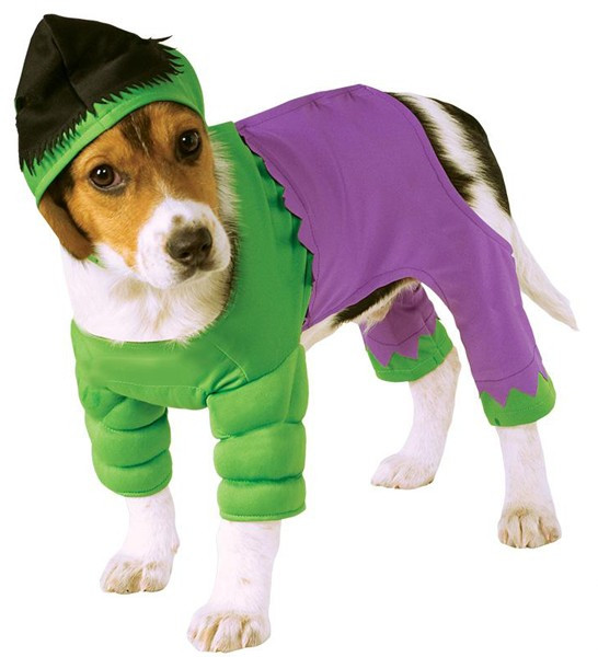 Hulk costume for dogs