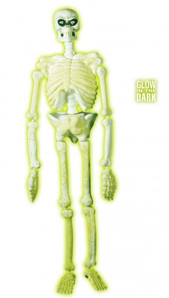 Esqueleto de neón de Halloween 150cm
