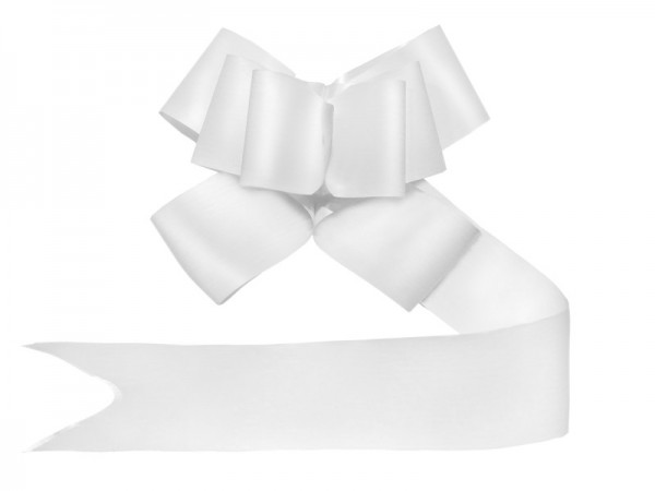 10 anelli decorativi bianchi 5 cm 2