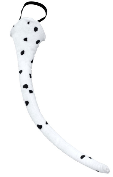 White black dalmatian dog tail