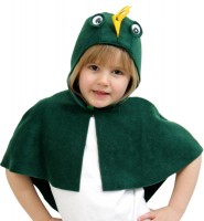 Oversigt: Grøn drage kappe til børn