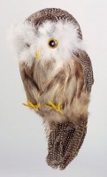 Preview: Owl fluffy made of feathers