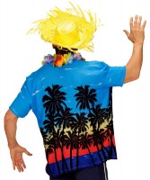 Oversigt: Miami Beach herre-shirt