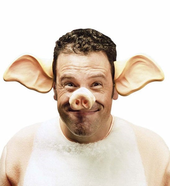 Piggy Rudi pig nose