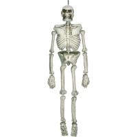 Lebensgroßes Skelett Hängedeko 137cm