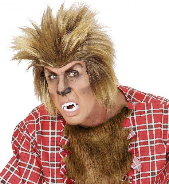 Werewolf set with wig and eyebrows