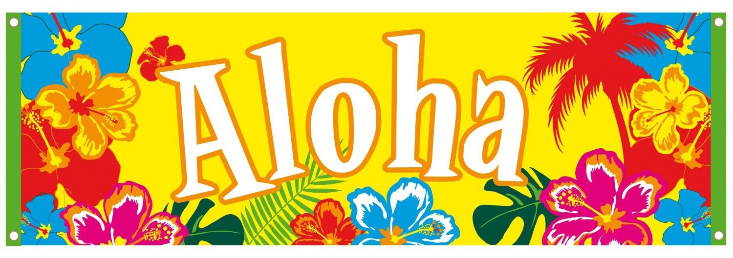 Banner Aloha 74 x 220 cm Hawaii Party Deko Beachparty Dekoration Wanddeko 