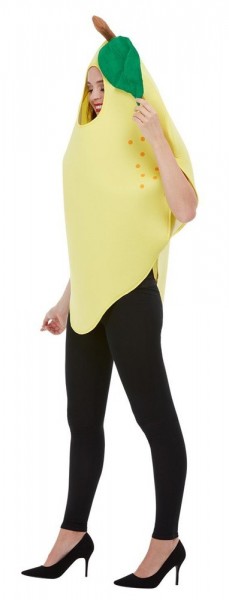 Lemon costume unisex 4