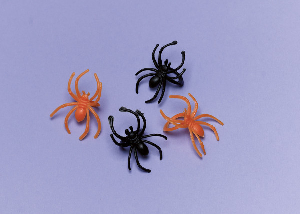 30 pierścieni z figurką pająka