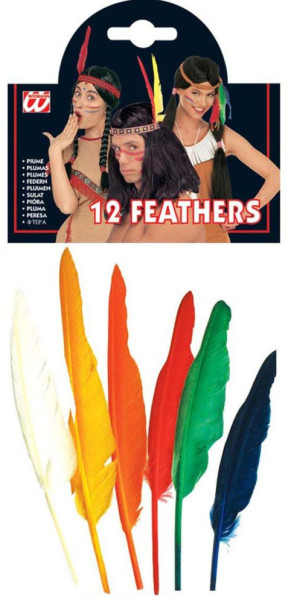 12 kleurrijke veren 25 cm 4