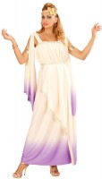 Oversigt: Græsk Athen damer kostume