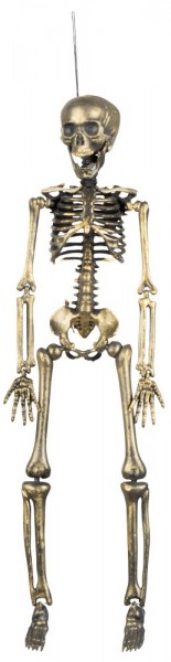 Skelett Heribert goldfarben 42 x 11cm