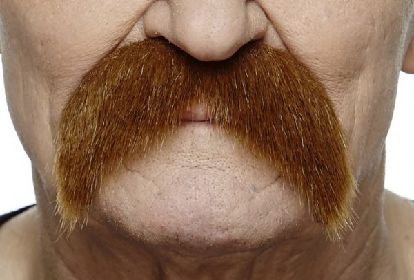 Moustache rouge Erikson