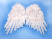 Voorvertoning: Edele engelenvleugels Elisa wit
