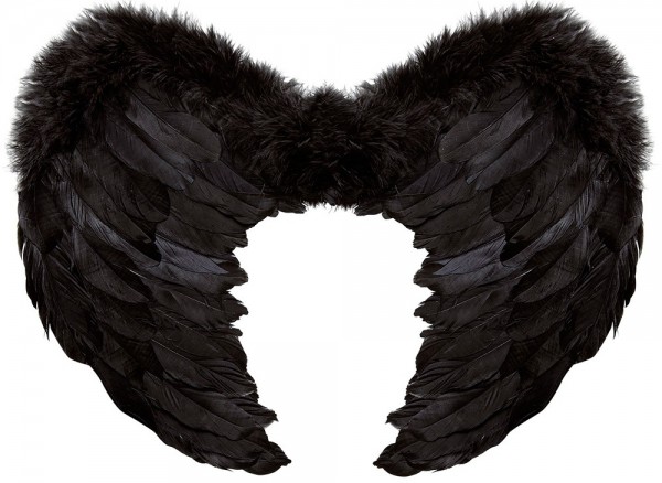 Zwarte engelenvleugels 37x50cm