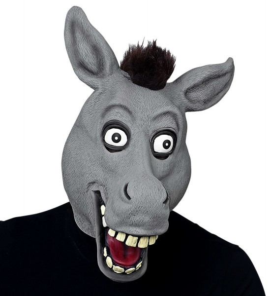 Máscara facial burro loco