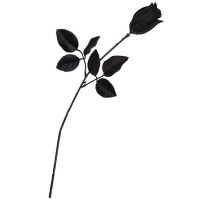 Black rose 40cm