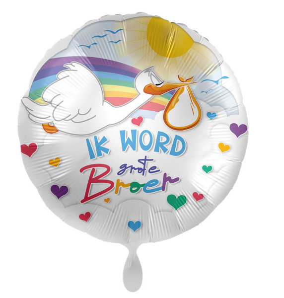 Big Brother folieballon NL 43cm