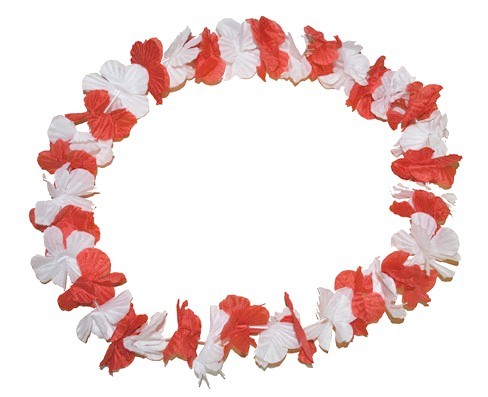 Carnival ketting rood wit