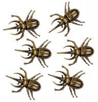 Anteprima: 6 coleotteri dorati nell'aspetto usato