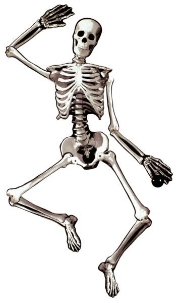 Squelette articulé de porte 1,34 m