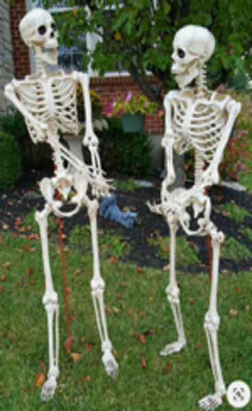 Outdoor-Figur Skeletown