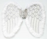 Anteprima: Ali d'angelo scintillanti 50x40cm
