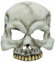 Noctilucent skalle mask