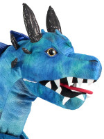 Blue dragon rider children's costume