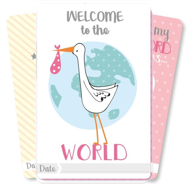 Baby Milestone Cards for Girls