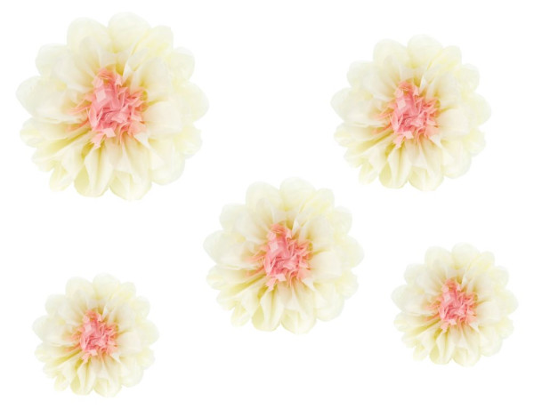 5 vloeipapier bloemen crèmekleurig 20-30cm