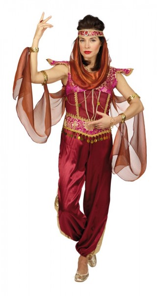 Arabian Princess Amira Costume With Veil