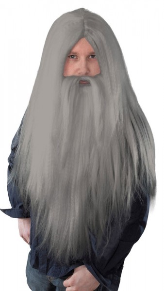 Parrucca grigia guidata con barba lunga