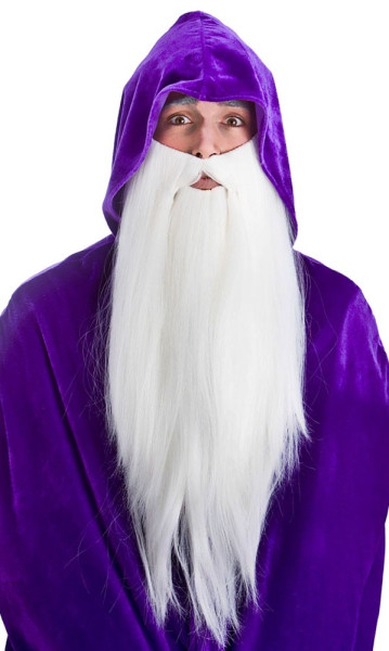 Mysterious Magician Beard White