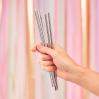 Preview: 5 stainless steel straws with brush
