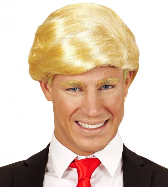 Mister President wig