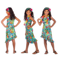 Oversigt: Hawaii pige Hilani pige kostume