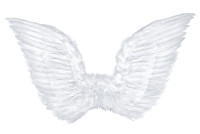 Oversigt: Angel wing Rafael 75x45cm
