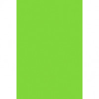 Nappe classique en film plastique vert kiwi 137x247cm