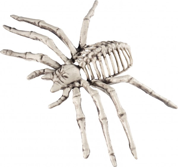 Gruselige Unterwelt Knochen Spinnen Figur 22cm